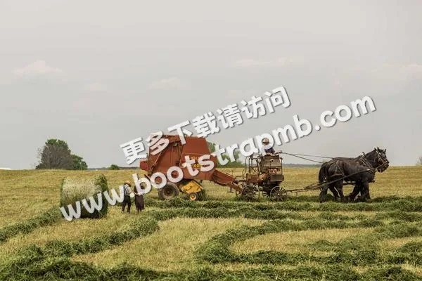 ⊞ Portfolio - 九游kangnuo